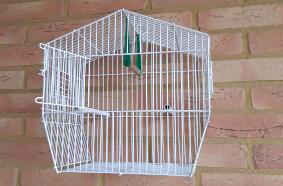 ij een kringloop kocht Merel een vogelkooi die nu bij haar deur hangt. het staat voor haar symbool voor een leven in vrijheid.